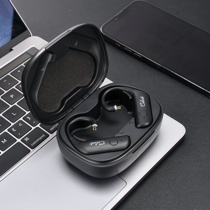 Celest-T1 True Wireless Hi-Res Bluetooth Ear Hook